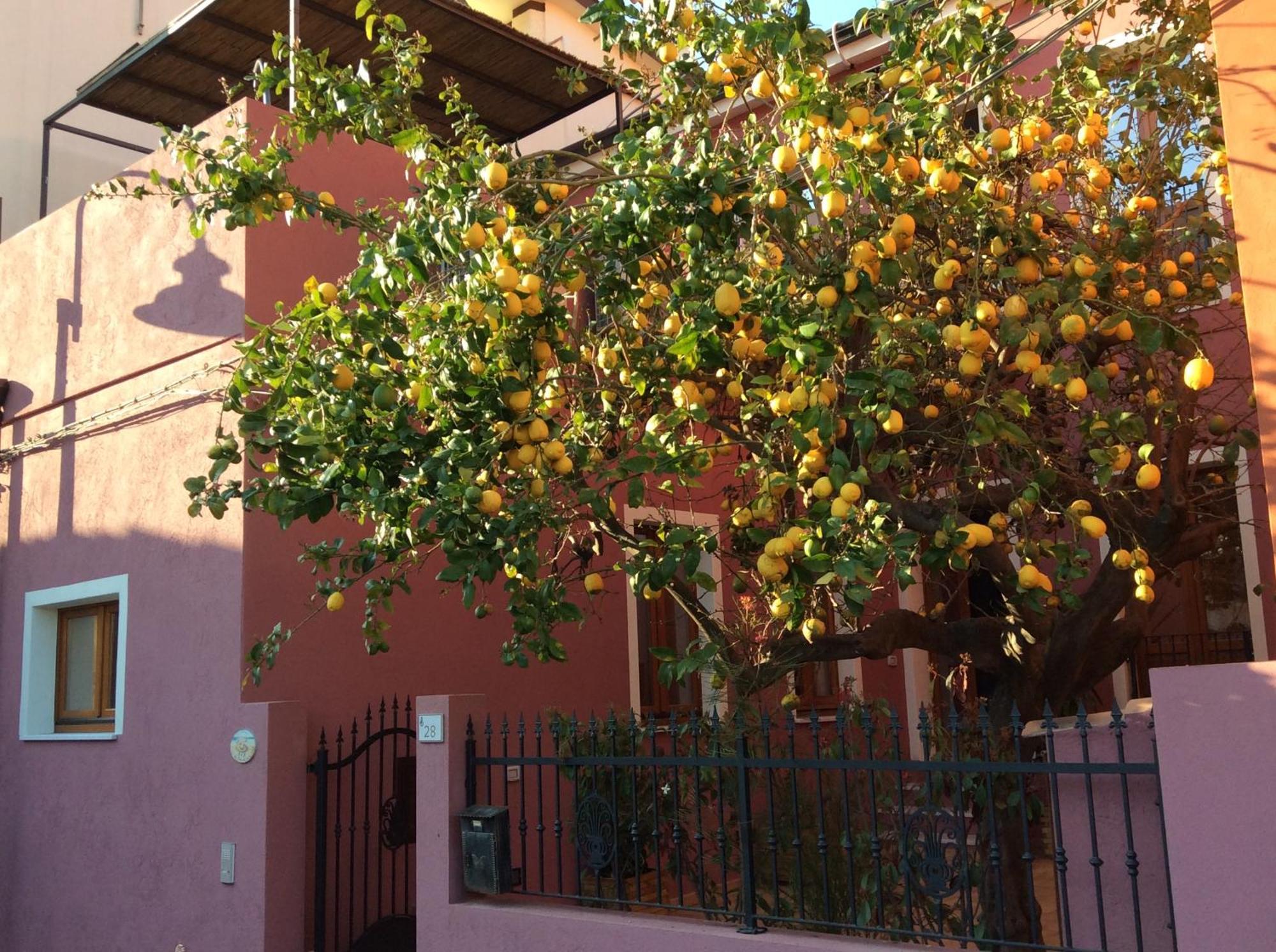 Bed and Breakfast La Perla Del Sud à Teulada Extérieur photo